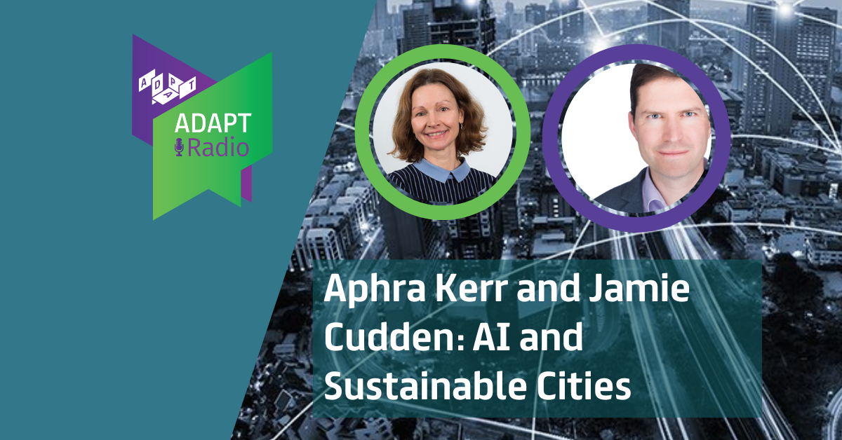 Aphra Kerr and Jamie Cudden: AI and Sustainable Cities